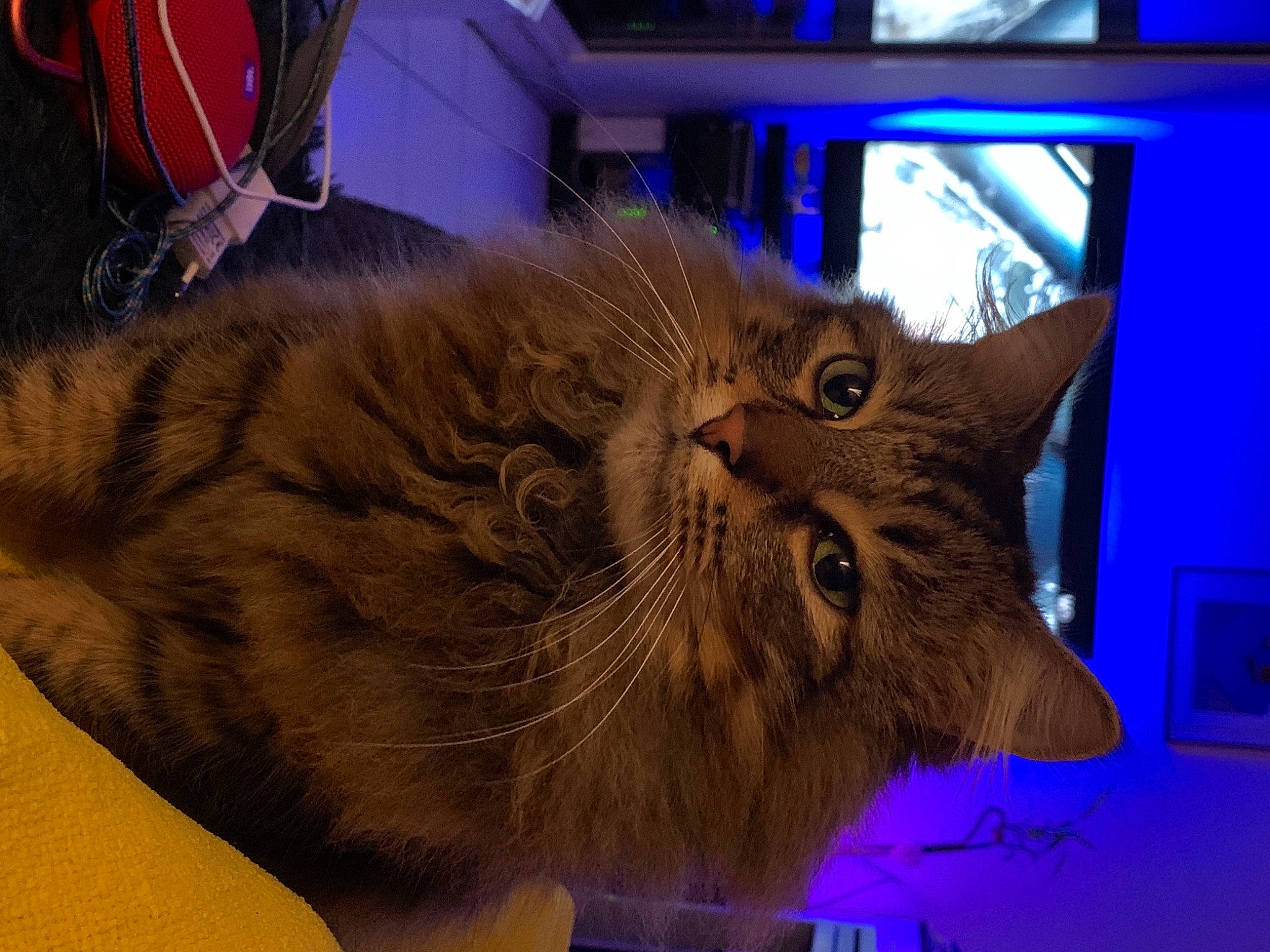 Swiffer