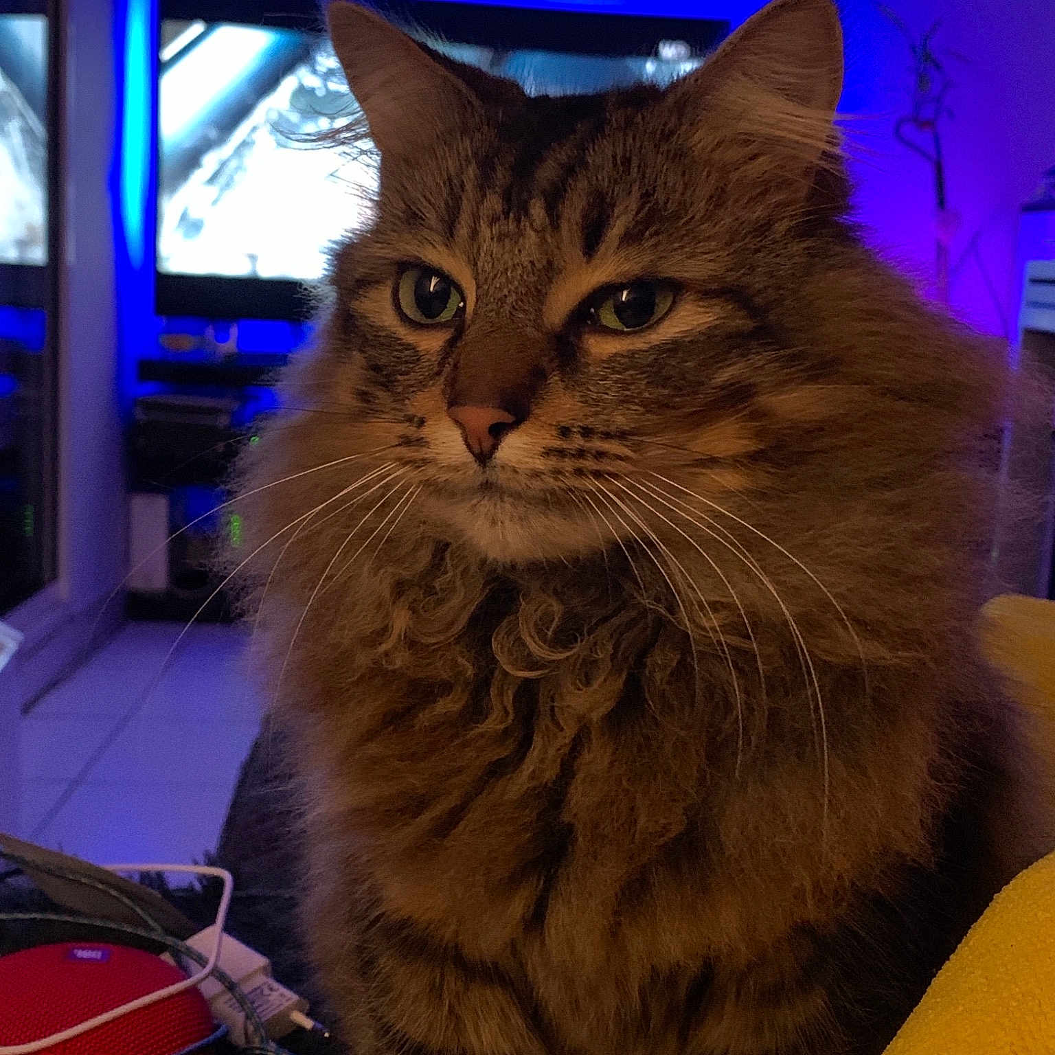 Swiffer