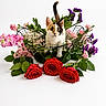 Missy joined the competition — help win amazing prizes! calico_cat, kitten, basket, flowers, roses, pink_flowers, purple_flowers, green_leaves, white_background, cute, pet, animal, floral_arrangement, nature, adorable, small_cat, indoor, studio_photo, colorful, portrait