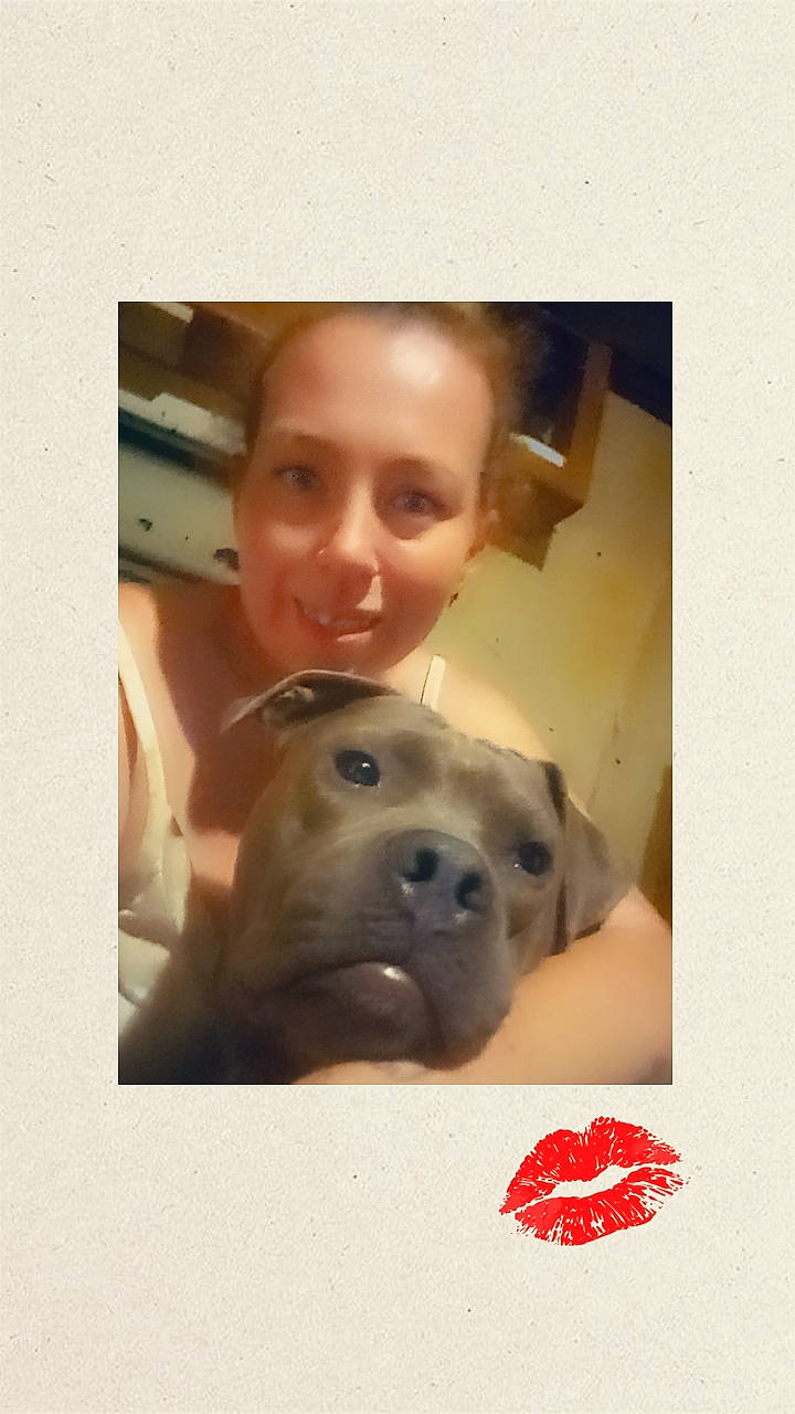 Bruh is registered to the contest to win money with this photo: canidae, carnivore, child, companion_dog, dog, dog_breed, ear, fawn, fun, fur, happy, jaw, nose, photo_caption, selfie, smile, snout, sporting_group, whiskers, working_animal