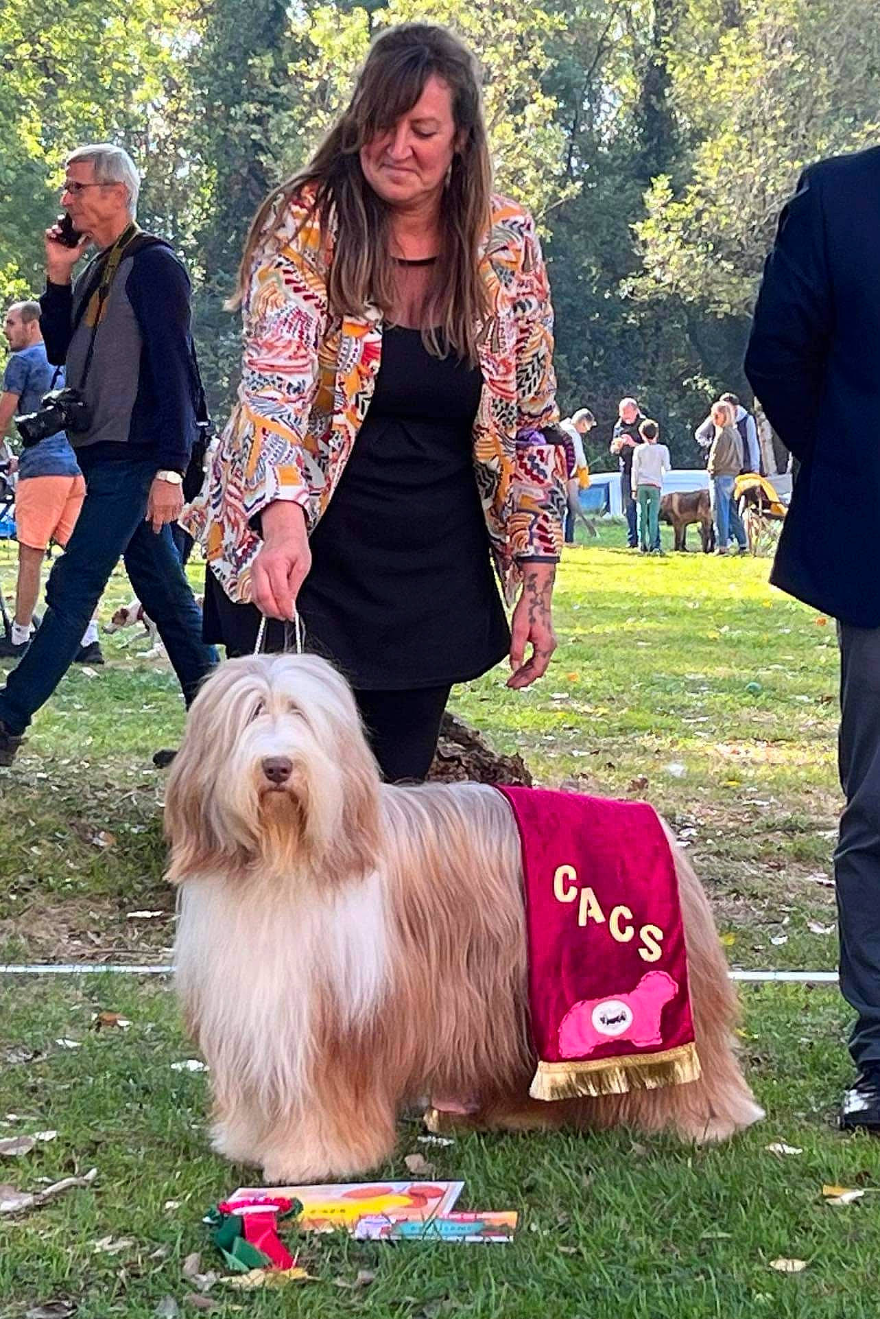 Physalis a rejoint le concours — aidez-le/la à gagner de superbes lots ! canidae, carnivore, companion_dog, dog, dog_breed, event, fur, grass, herding_dog, sitting, sporting_group, suit, toy_dog, tree, trousers, working_dog