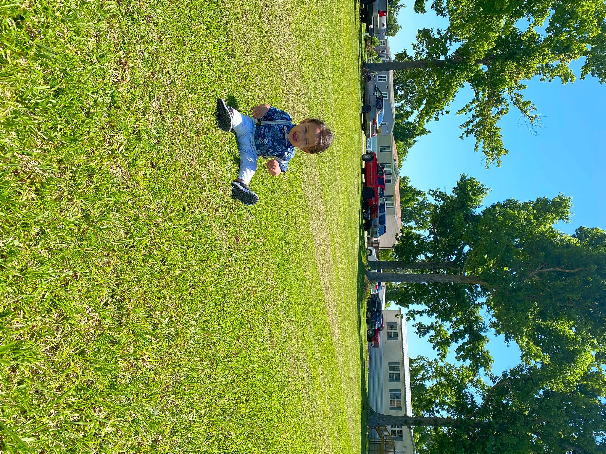 Fabrizio is registered to the contest to win money with this photo: fun, garden, grass, grassland, groundcover, landscape, lawn, leisure, people_in_nature, person, plant, pole, recreation, shrub, sky, slope, toddler, tree, trunk, vegetation