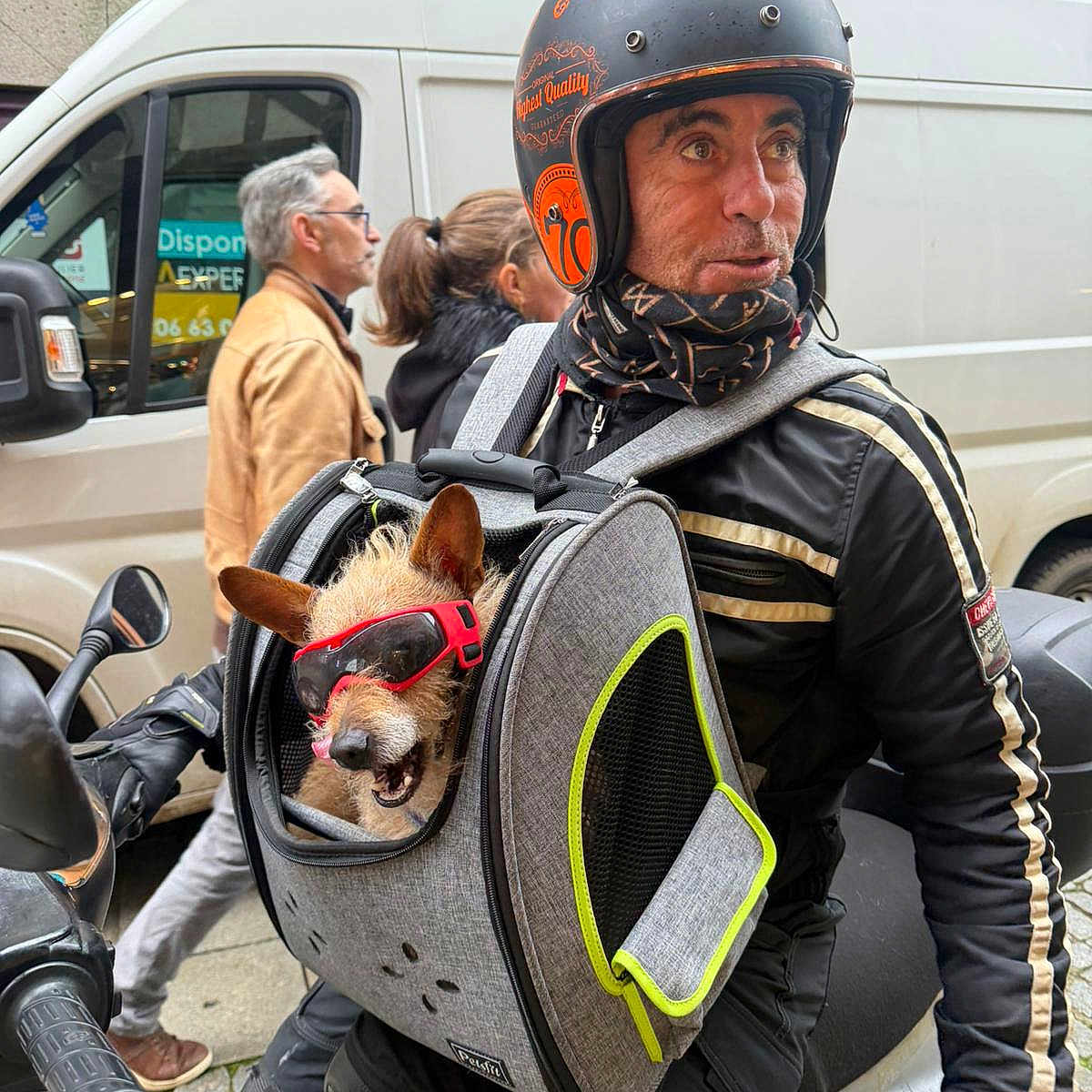 Mystic a rejoint le concours — aidez-le/la à gagner de superbes lots ! accessories, casual, cool, dog, gloves, helmet, jacket, man, motorcycle, outdoor, pedestrians, pet_carrier, sidewalk, street, sunglasses, transport, travel, urban, van, vehicle