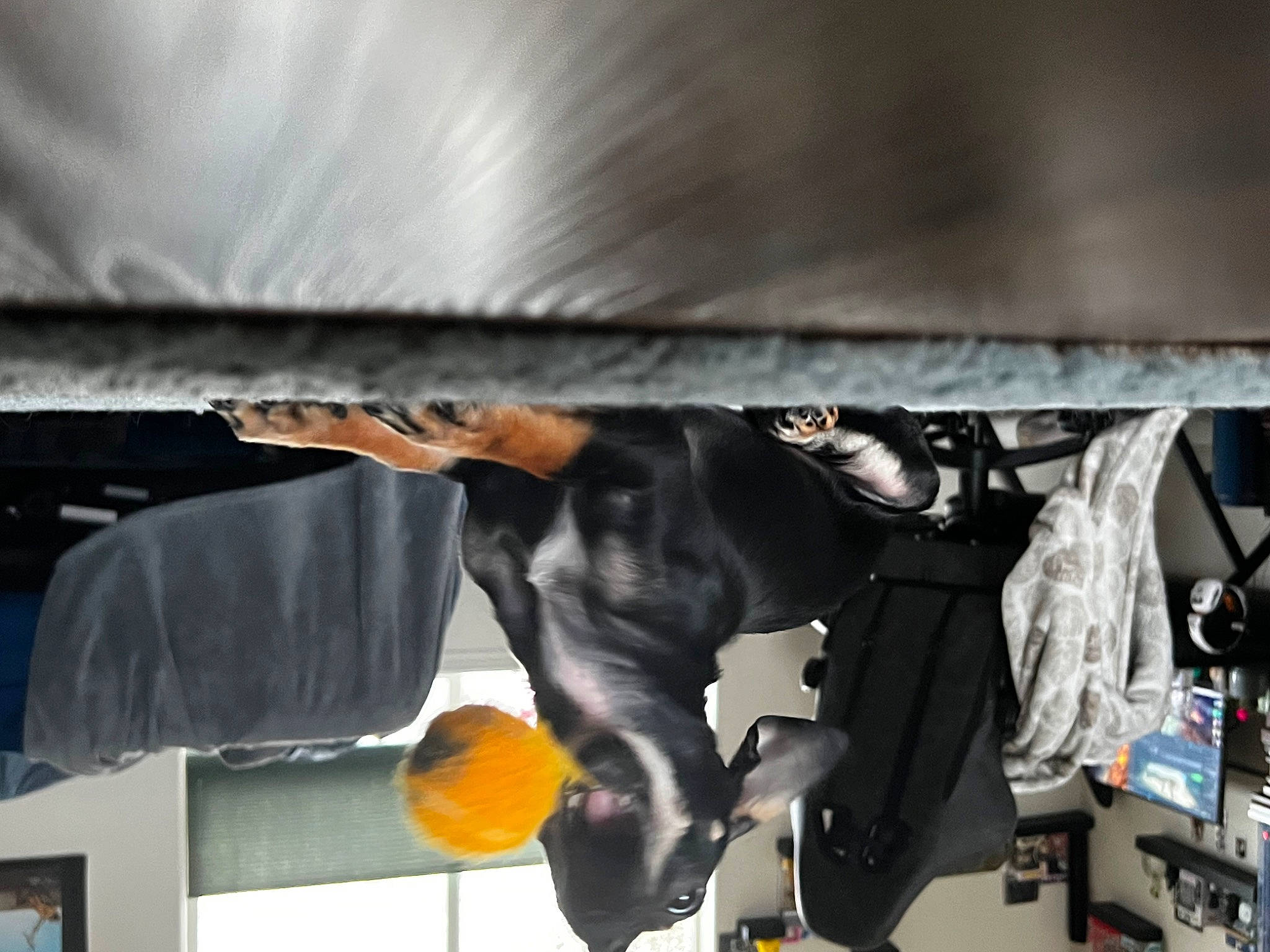 Sora is registered to the contest to win money with this photo: artist, auto_part, automotive_design, automotive_exterior, bumper, entertainment, hat, machine, metal, personal_protective_equipment, room, tail