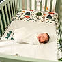 Stetson is registered to the contest to win money with this photo: newborn, baby, crib, swaddled, sleeping, blanket, sheet, forest_theme, animal_print, bear, tree, squirrel, mint_green, wooden_crib, infant, bedroom, soft_light, peaceful, resting, child
