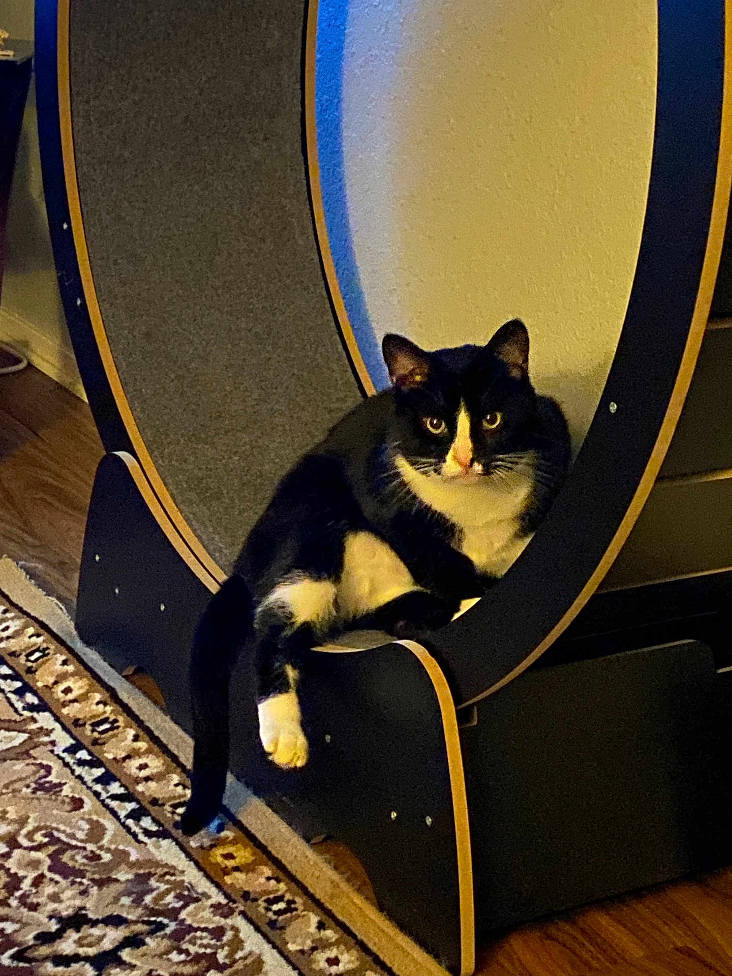 Tux