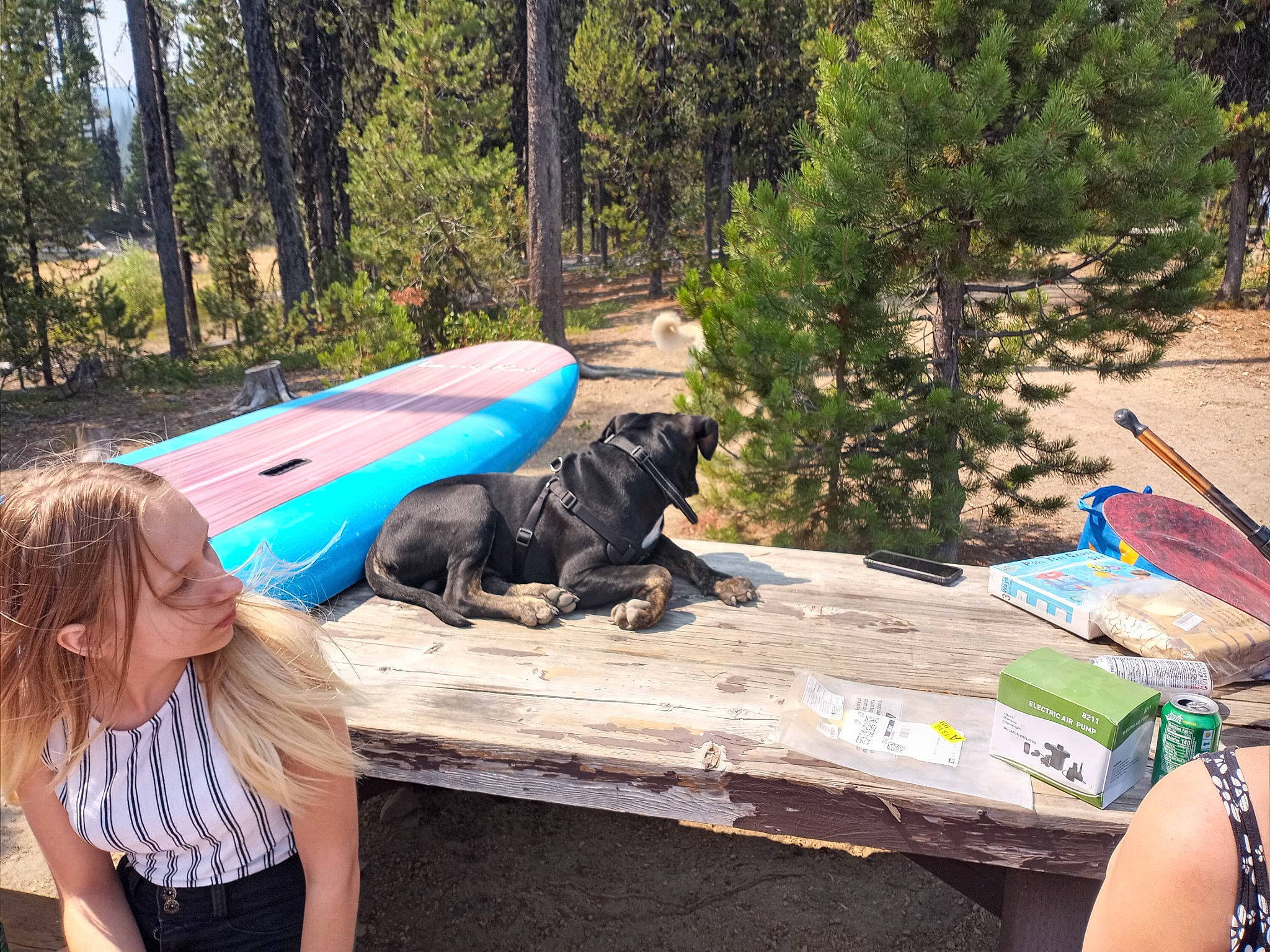 Apollo is registered to the contest to win money with this photo: adventure, boats_and_boating_equipment_and_supplies, camping, forest, fun, grass, landscape, leisure, outdoor_furniture, picnic_table, plant, plant_community, recreation, shade, sitting, soil, table, tree, watercraft, wood