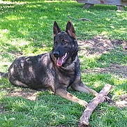 Bourbon is registered to the contest to win money with this photo: