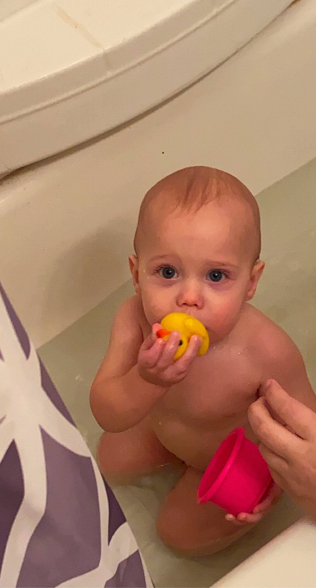 Karsen joined the competition — help win amazing prizes! baby, baby_bathing, baby_products, bathing, cheek, chest, child, ear, finger, fluid, human_body, joint, muscle, nail, neck, organ, person, product, skin, thumb