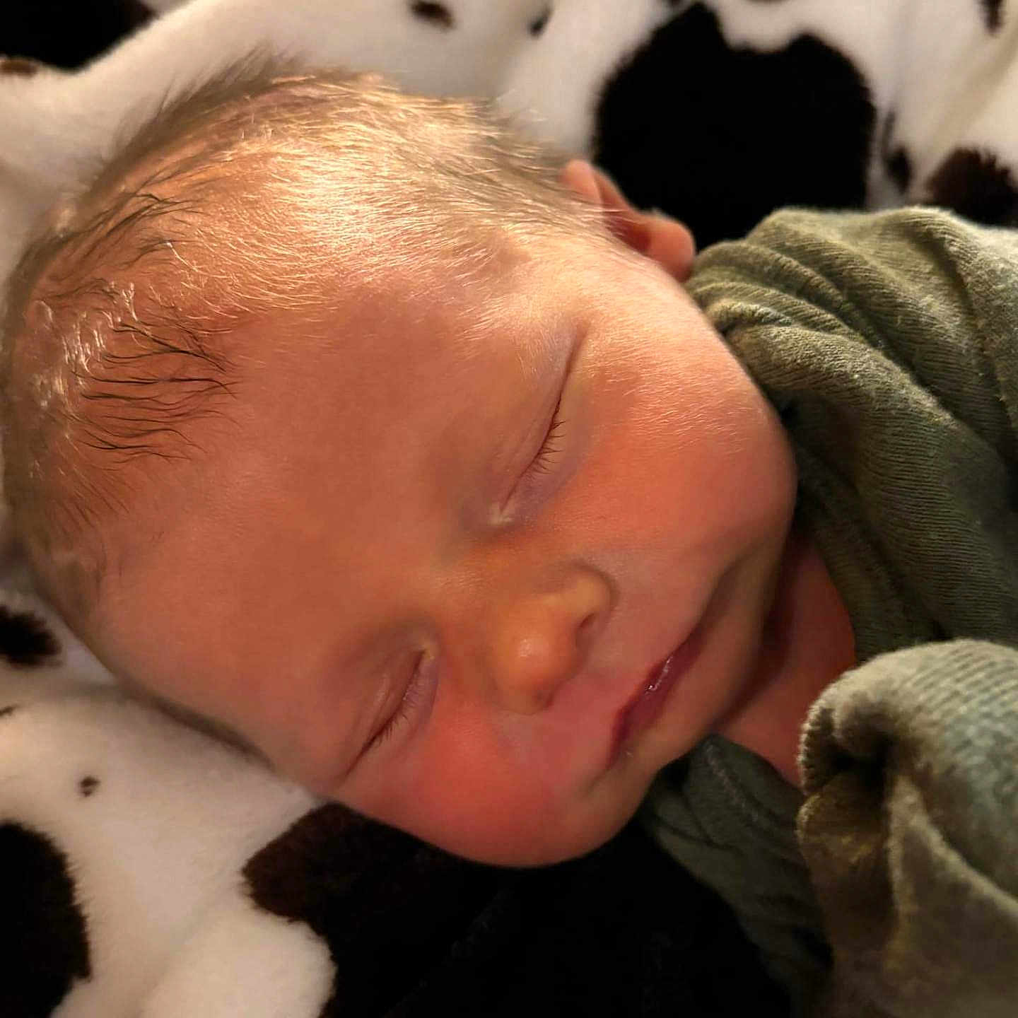 Reed is registered to the contest to win money with this photo: animal, baby, blanket, cat, clothing, face, glove, head, newborn, person, pet, photography, portrait, quilt, sleeping
