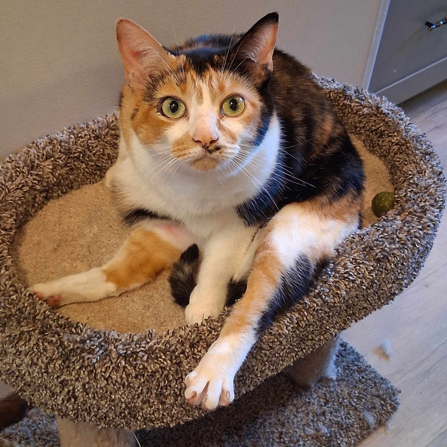 Sapphire Aka Fire