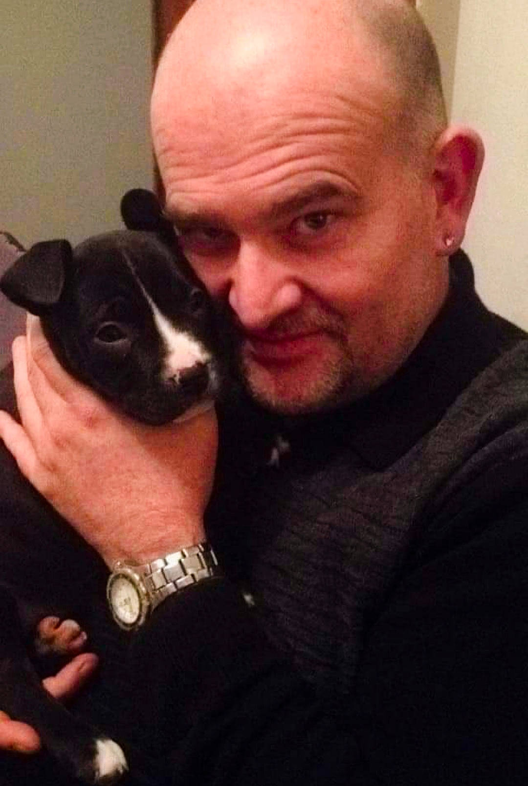 Era a rejoint le concours — aidez-le/la à gagner de superbes lots ! beard, boston_terrier, carnivore, clock, comfort, companion_dog, dog, dog_breed, ear, facial_hair, fawn, finger, formal_wear, fur, gesture, jaw, neck, watch, whiskers, wrist