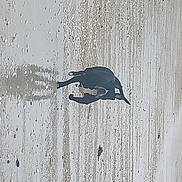 Era participe au concours pour gagner de l'argent avec cette photo : beak, bird, concrete, grey, illustration, monochrome, monochrome_photography, pattern, reflection, shadow, tail, tints_and_shades, tree, trunk, visual_arts, water, wildlife, wood