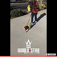 Alitherastapup joined the competition — help win amazing prizes! advertising, asphalt, boardsport, brand, font, logo, photo_caption, plant, product, recreation, road, road_surface, rolling, sidewalk, skateboarder, skateboarding, slope, soil, sports, tree