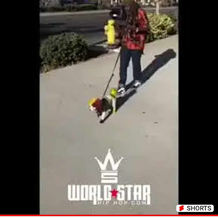 Alitherastapup