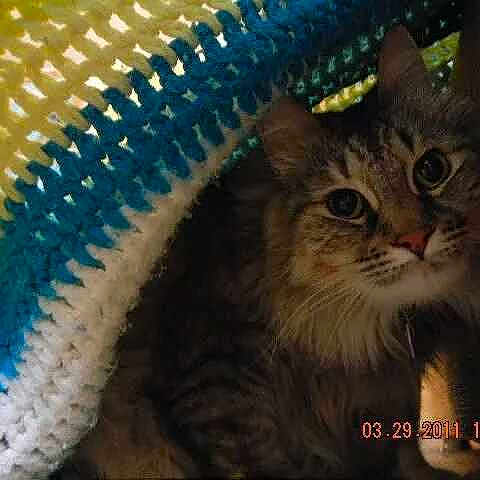 Sileen joined the competition — help win amazing prizes!