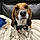 Pixel