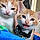 Pablo And Marley