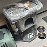 cat, kitten, cat_tree, cat_bed, pet_carrier, food_bowl, empty_bowl, floor, indoor, stretching, orange_and_white, plush, pet_accessories, cozy, home, radiator, rug, light, relaxed, animal
