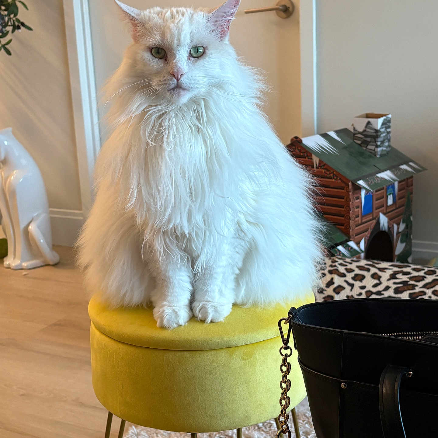 Kennedy joined the competition — help win amazing prizes! cat, white_cat, fluffy, green_eyes, yellow_stool, indoor, decor, cat_statue, log_cabin, leopard_print, rug, wood_floor, furniture, pet, animal, portrait, sitting, close_up, domestic, cozy