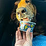 dog, close_up, hand, cup, frozen_treat, whipped_cream, mouth, nose, eyes, indoor, car_interior, jeans, human_hand, treat, pet, animal, licking, messy, happy, food