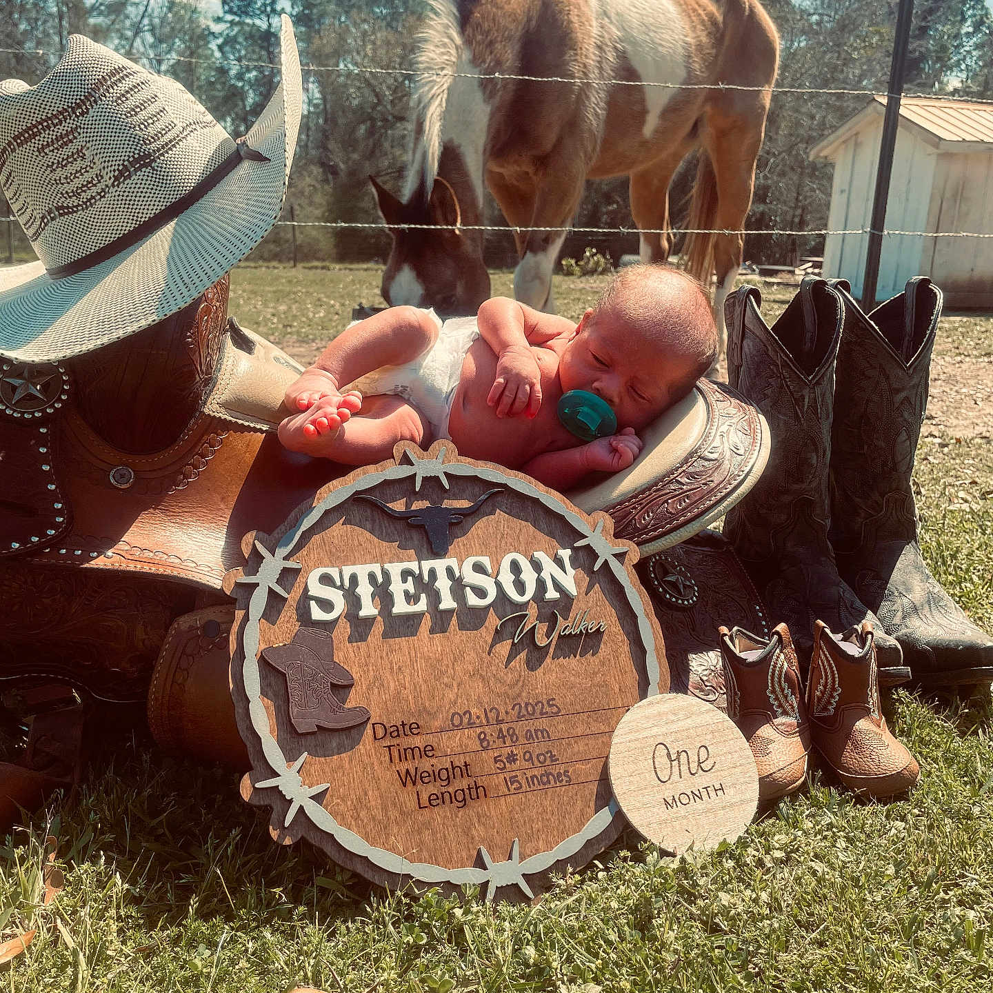 Stetson