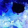 cat, black_cat, kitten, christmas_tree, tinsel, ornaments, lights, fairy_lights, holiday, festive, blue_lighting, sleeping, curled_up, furry, pet, indoor, decoration, cozy, nighttime, photography