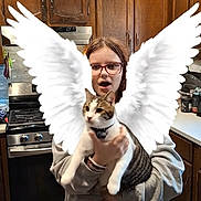 Bunny Wabbit joined the competition — help win amazing prizes! person, cat, kitchen, wooden_cabinets, stove, angel_wings, glasses, gray_hoodie, flooring, countertop, animal, pet, indoor, surprised_expression, holding, digital_effect, white_wings, domestic_cat, home, funny