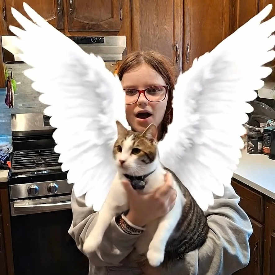 Bunny Wabbit joined the competition — help win amazing prizes! angel_wings, animal, cat, countertop, digital_effect, domestic_cat, flooring, funny, glasses, gray_hoodie, holding, home, indoor, kitchen, person, pet, stove, surprised_expression, white_wings, wooden_cabinets