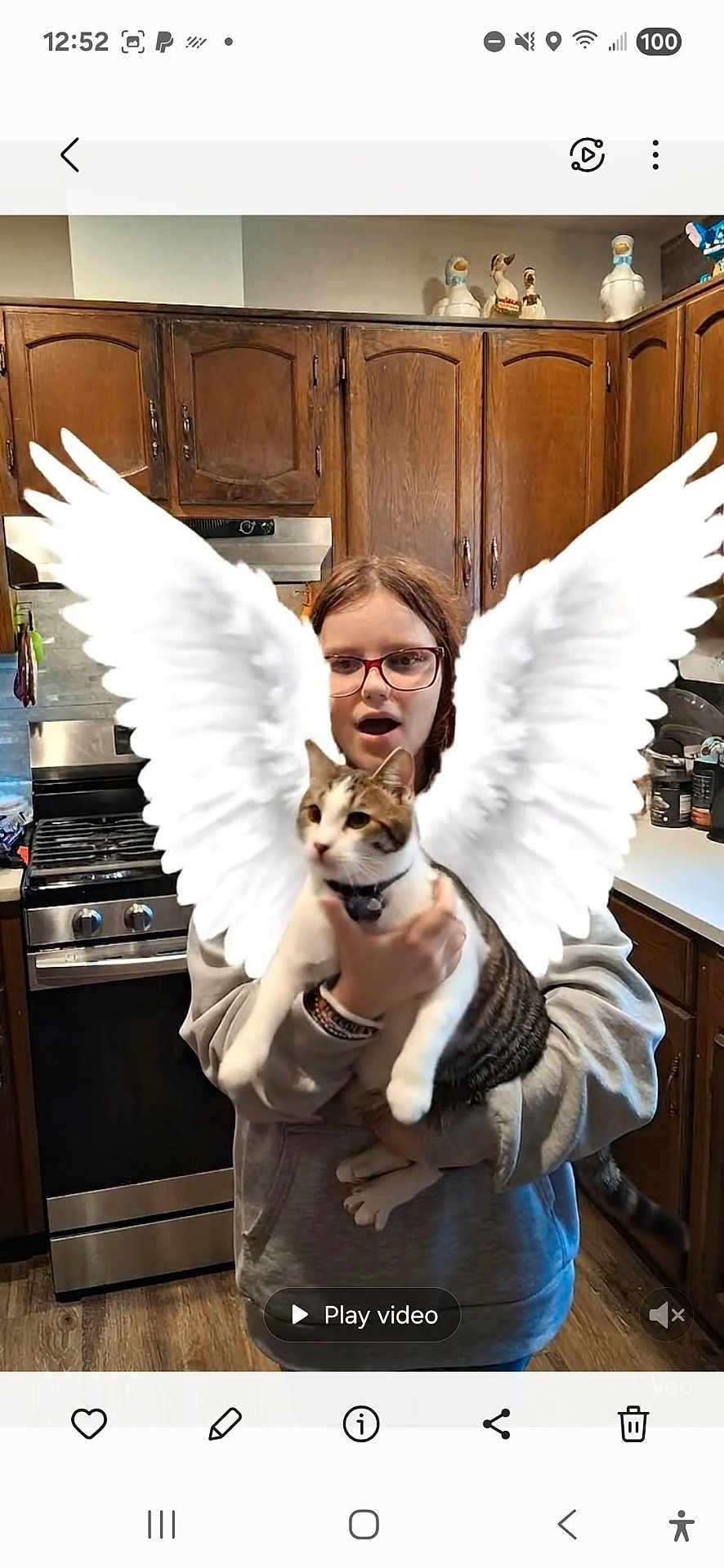Bunny Wabbit joined the competition — help win amazing prizes! person, cat, kitchen, wooden_cabinets, stove, angel_wings, glasses, gray_hoodie, flooring, countertop, animal, pet, indoor, surprised_expression, holding, digital_effect, white_wings, domestic_cat, home, funny