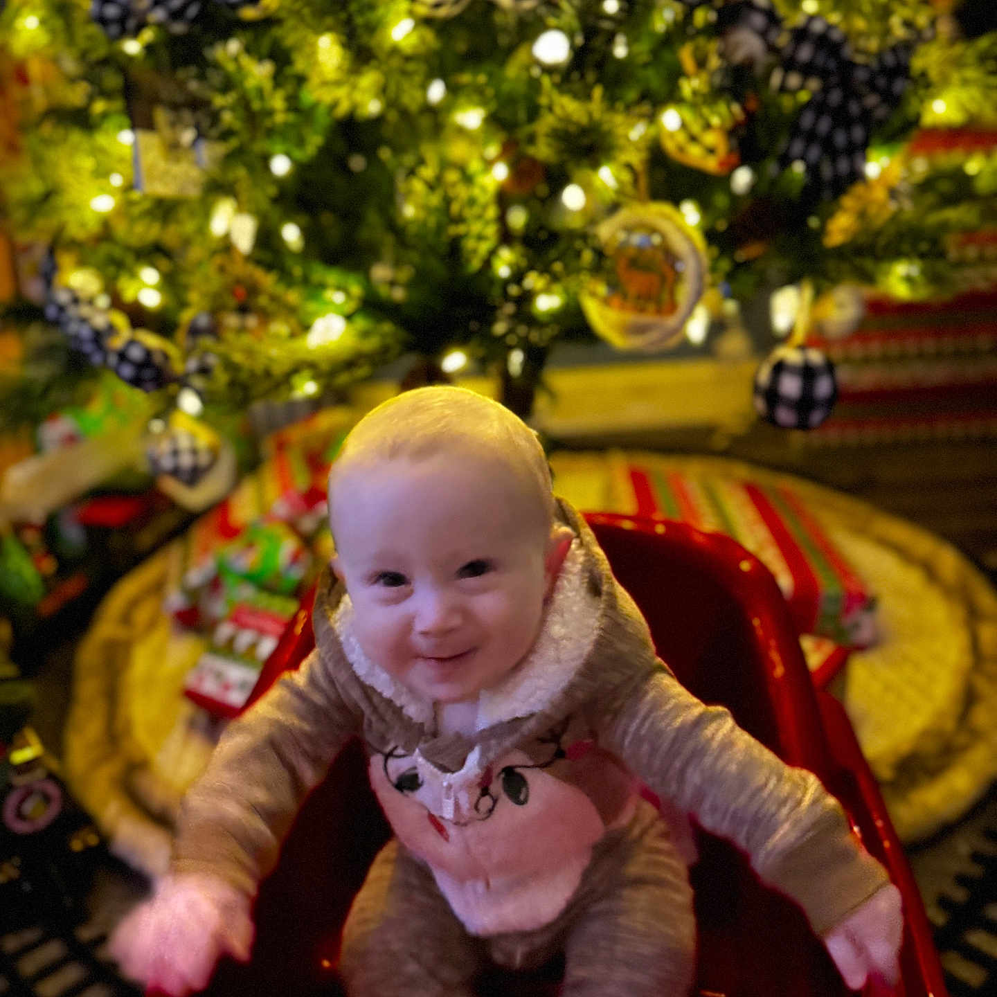 Mason joined the competition — help win amazing prizes! accessories, baby, bodypart, face, finger, fir, flower, flowerarrangement, hand, happy, head, lighting, outdoors, person, photography, plant, playarea, portrait, toy, tree