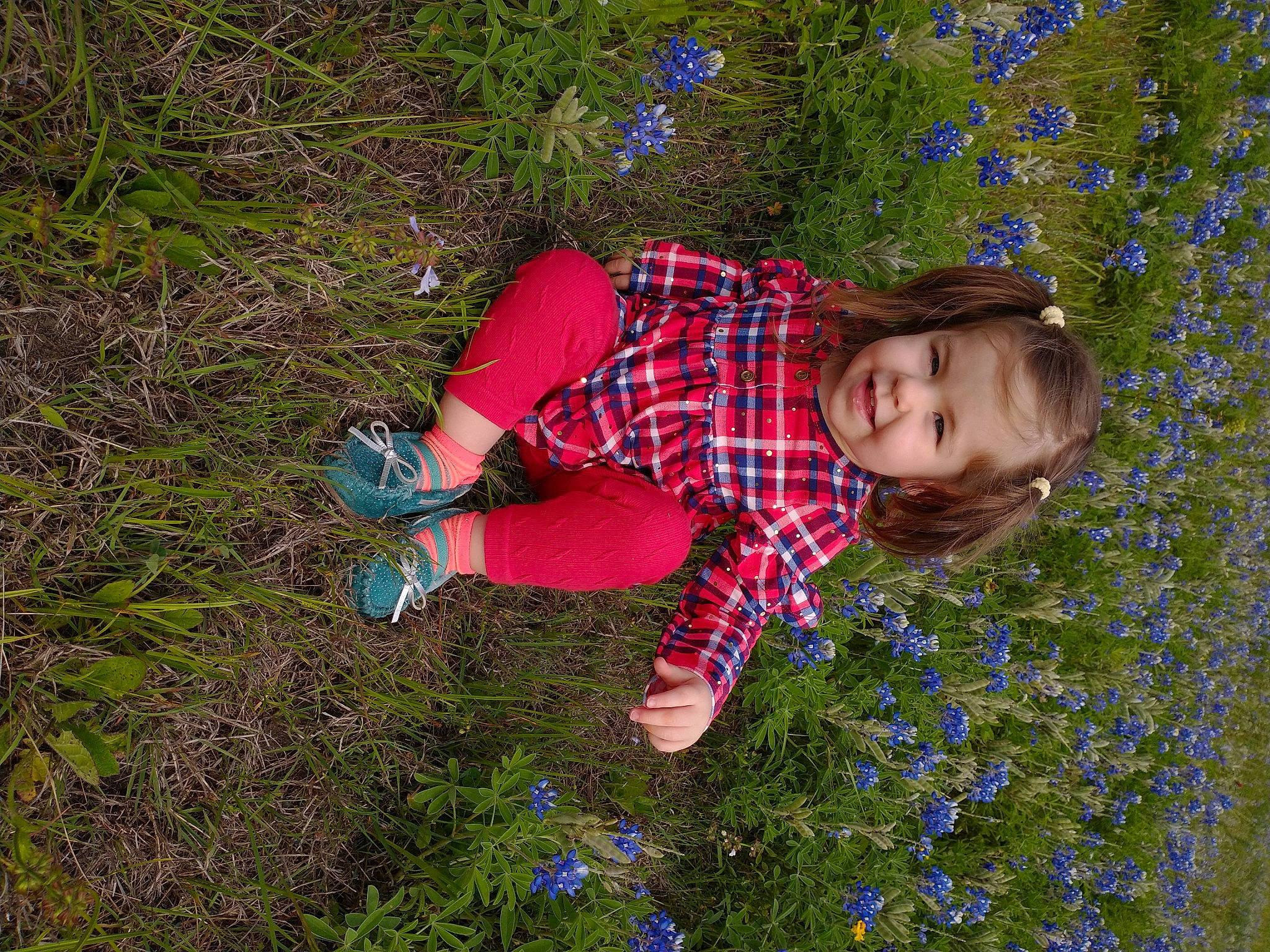 Addelynn joined the competition — help win amazing prizes! blue, botany, child, electric_blue, flower, flowering_plant, fun, grass, grassland, groundcover, happy, herbaceous_plant, joy, meadow, pattern, people_in_nature, person, petal, plant, prairie