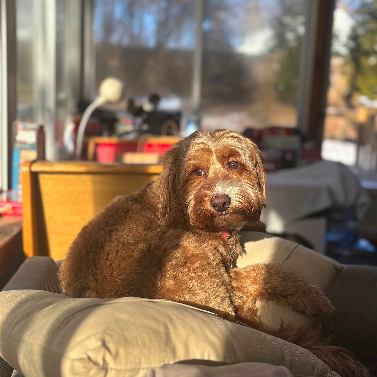 Winston