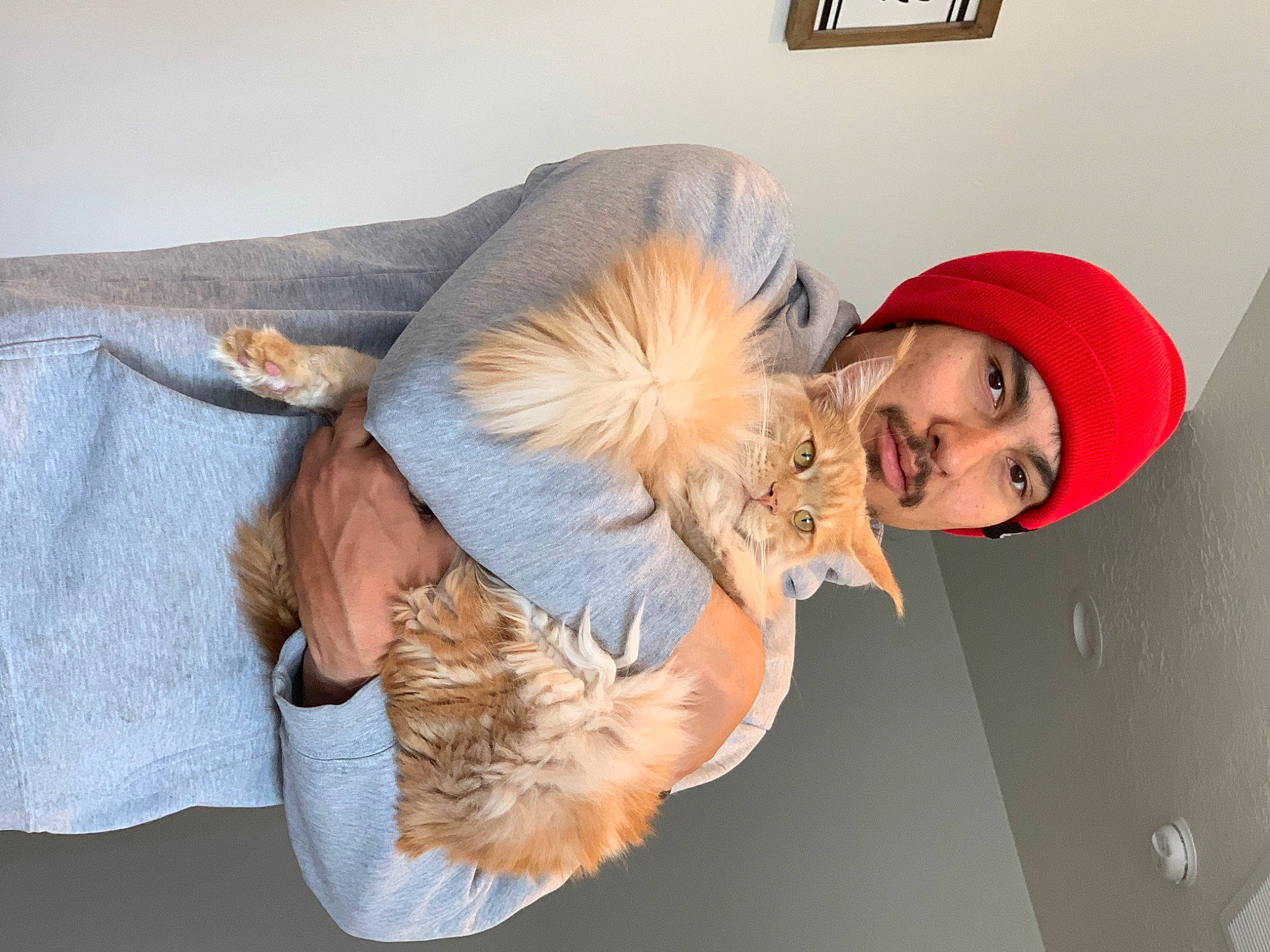 Albus joined the competition — help win amazing prizes! baseball_cap, canidae, cap, child, companion_dog, fashion_accessory, fawn, felidae, fur, fur_clothing, gesture, happy, peach, picture_frame, plush, sporting_group, street_fashion, stuffed_toy, textile, toy