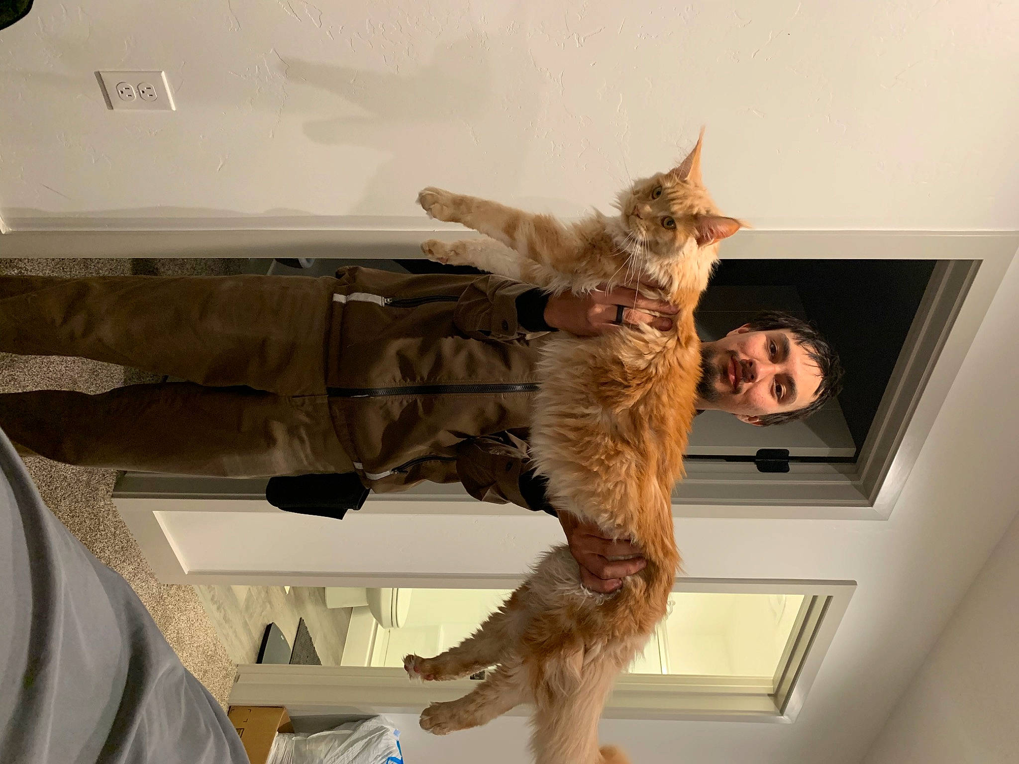 Albus joined the competition — help win amazing prizes! art, canidae, carnivore, cat, comfort, domestic_short_haired_cat, felidae, fur, picture_frame, plant, room, small_to_medium_sized_cats, sporting_group, tail, tourist_attraction, whiskers, window, wood