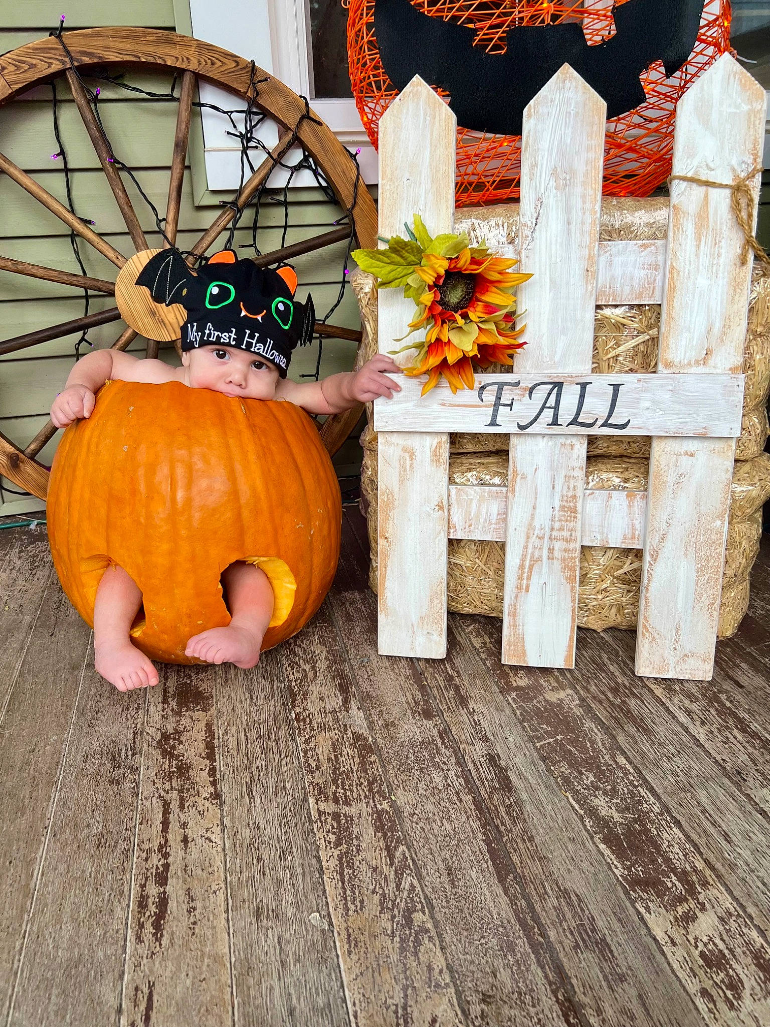 Kolton joined the competition — help win amazing prizes! calabaza, couch, cucurbita, door, event, flooring, gourd, hardwood, headwear, natural_foods, orange, person, petal, plant, produce, pumpkin, squash, vegetable, whole_food, window