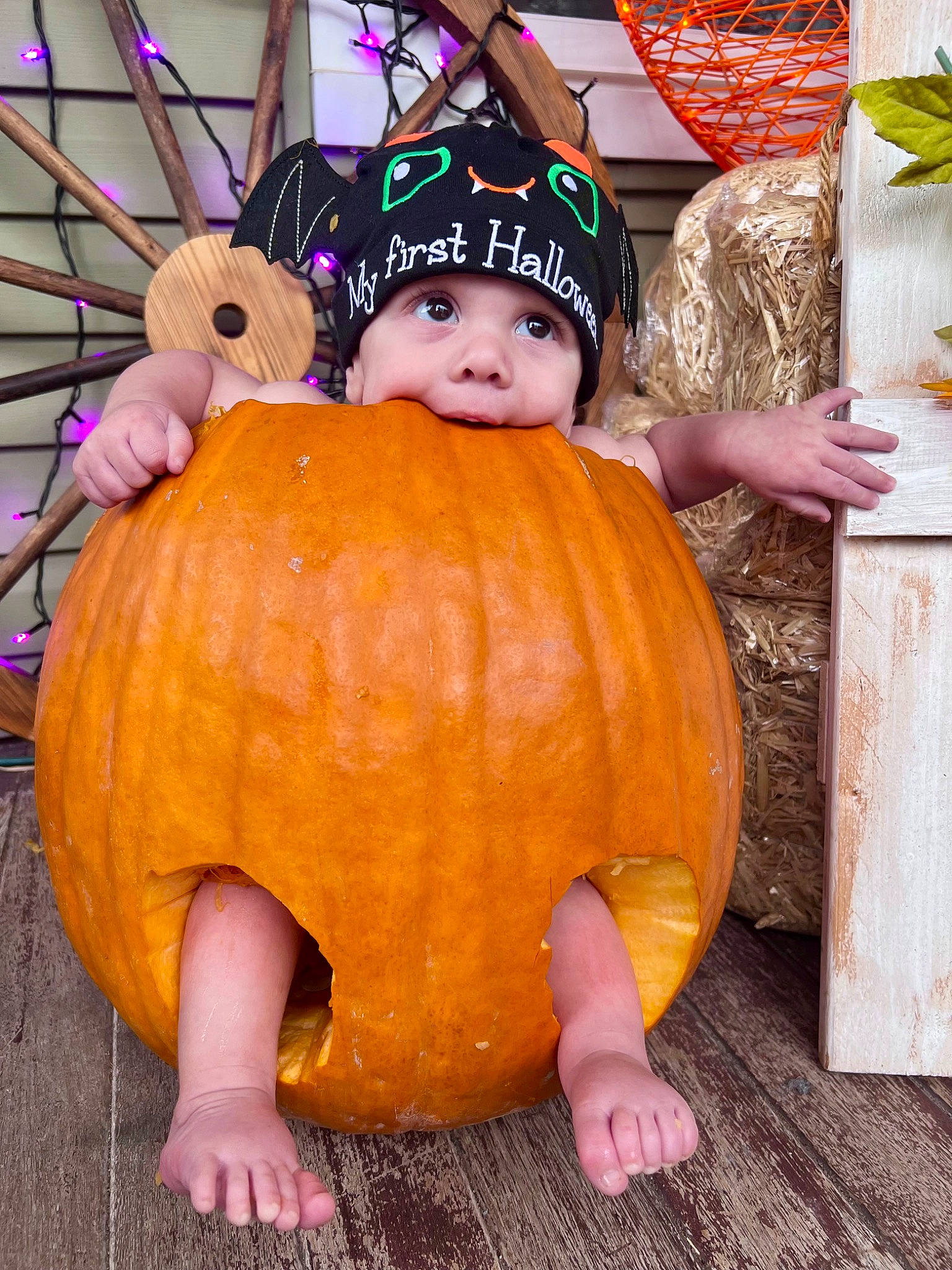 Kolton is registered to the contest to win money with this photo: calabaza, child, cucurbita, event, flooring, fun, gourd, headwear, local_food, natural_foods, orange, person, plant, produce, pumpkin, squash, toddler, tradition, trick_or_treat, vegetable