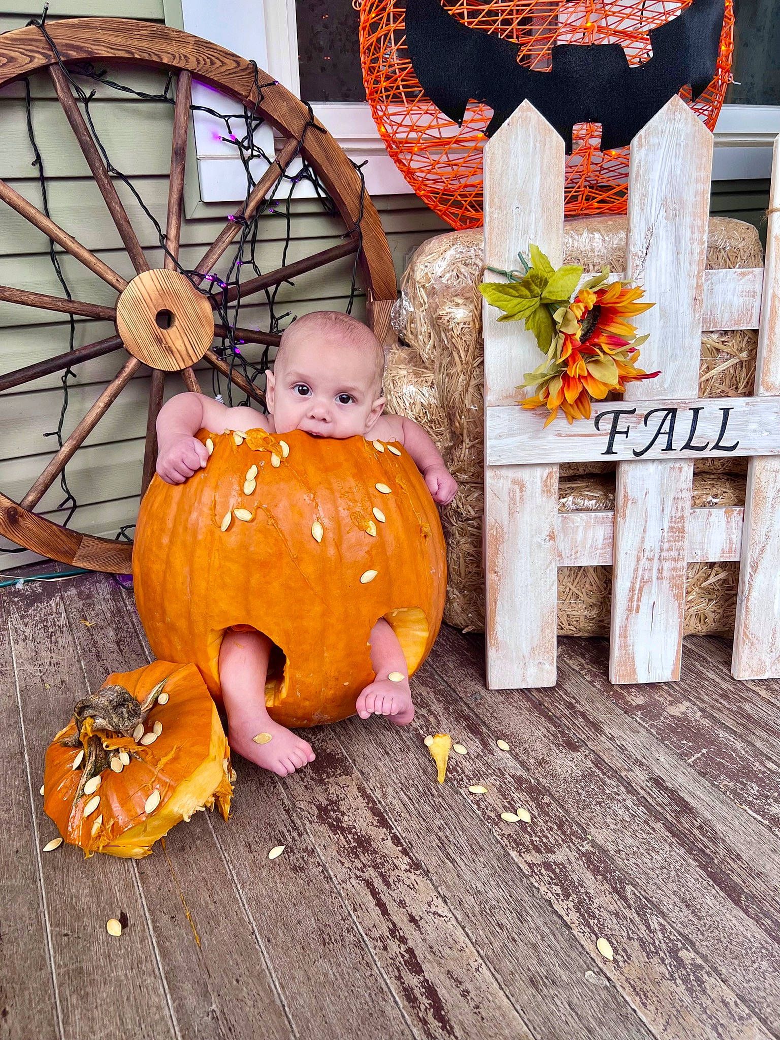 Kolton is registered to the contest to win money with this photo: automotive_tire, autumn, calabaza, cucurbita, door, gourd, local_food, natural_foods, orange, person, plant, produce, pumpkin, room, squash, toddler, tradition, trick_or_treat, vegetable, winter_squash