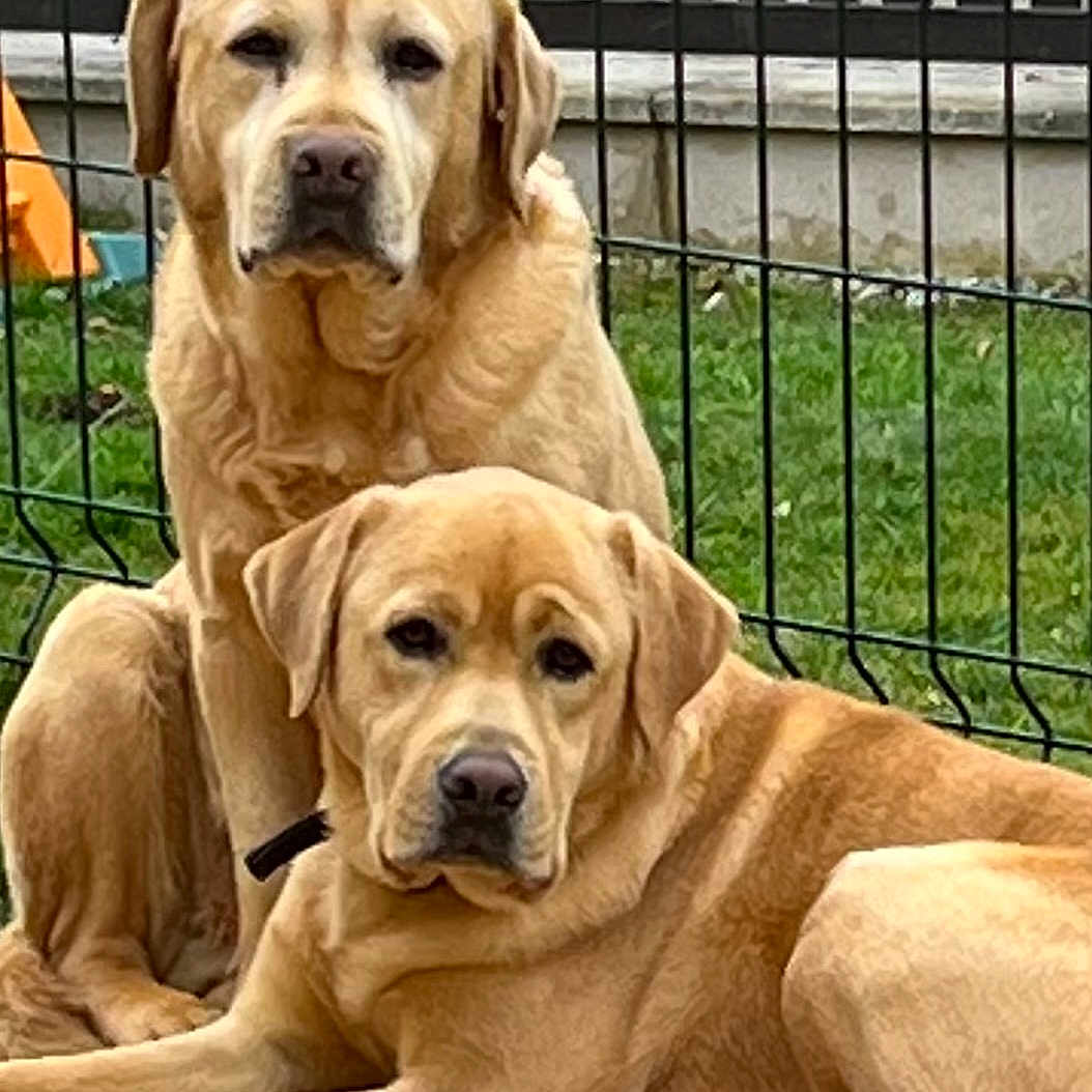 Oslo Et Jason