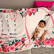 Kaylani is registered to the contest to win money with this photo: baby, infant, child, milestone_blanket, floral_blanket, butterfly, pillow, sofa, couch, onesie, socks, rose, flowers, smile, portrait, indoors, cozy, pink, home_interior, blanket
