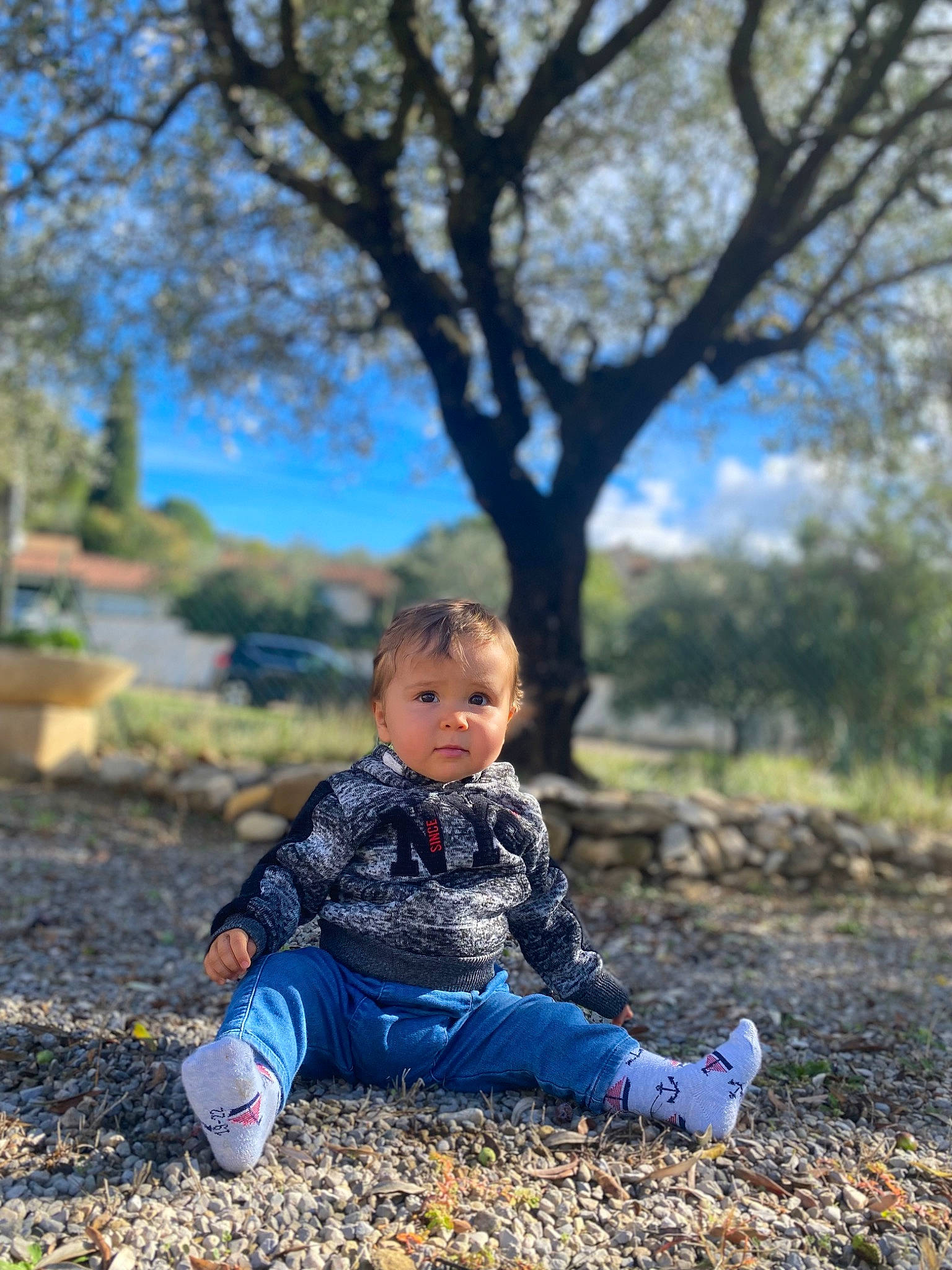 Loris participe au concours pour gagner de l'argent avec cette photo : baby, baby_toddler_clothing, branch, deciduous, electric_blue, flash_photography, forest, grass, happy, landscape, leisure, people_in_nature, person, plant, sky, tints_and_shades, toddler, tree, twig, wood