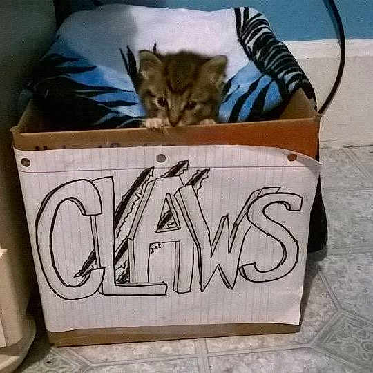 Claws