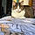 Sookie