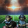 Babygirl joined the competition — help win amazing prizes! dog, small_dog, bandana, green_turf, pom_poms, stadium, football_field, sports, animal, pet, cute, portrait, two_dogs, black_and_tan, playful, sitting, indoor, background_lights, smoke, team_spirit