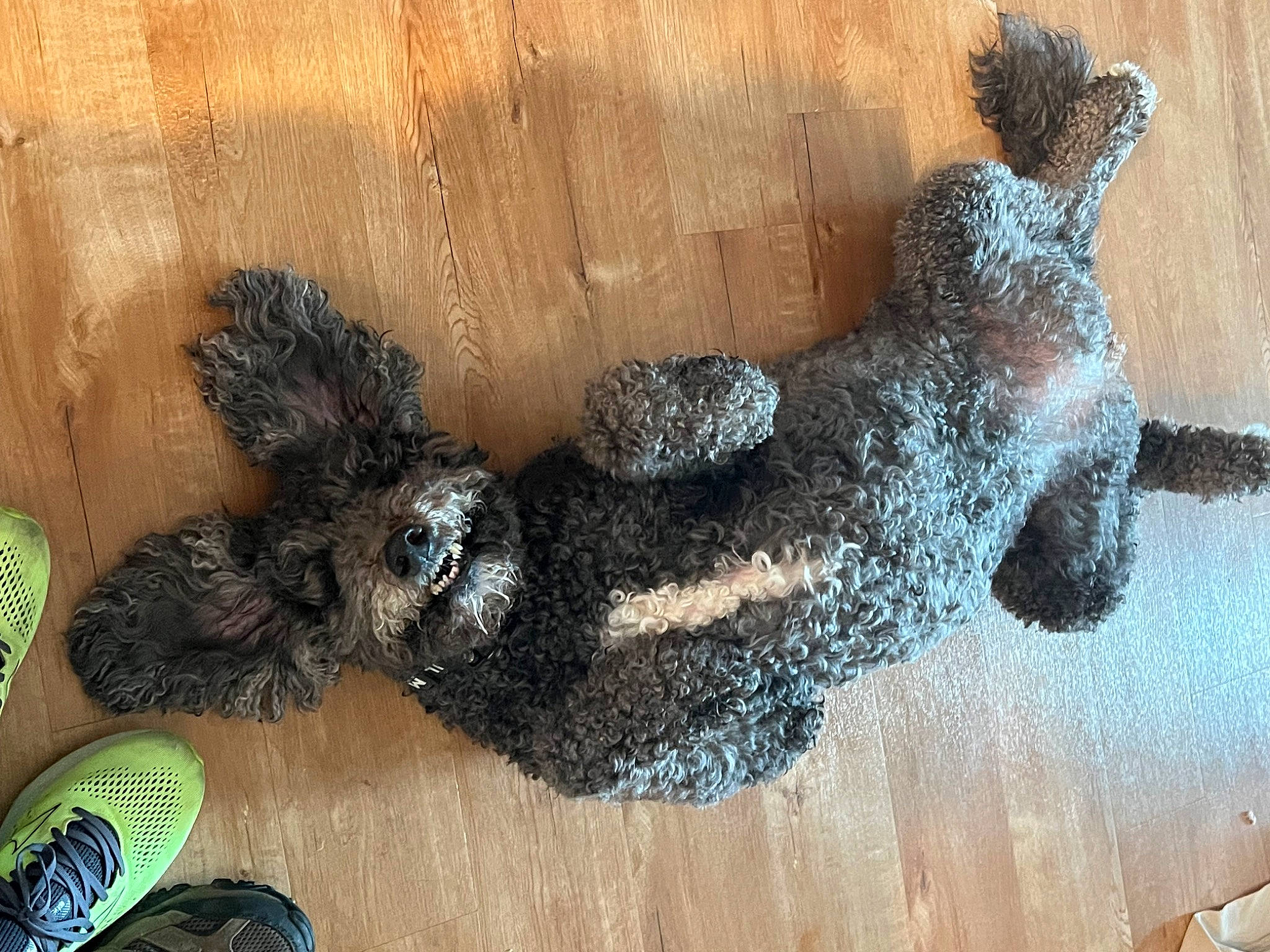 Suzy joined the competition — help win amazing prizes! art, creative_arts, fawn, fur, metal, snout, stuffed_toy, toy, visual_arts, wood, wool, working_animal