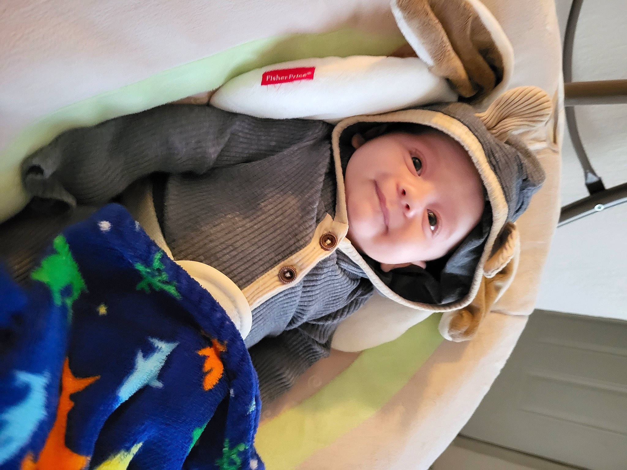 Brodie joined the competition — help win amazing prizes! auto_part, automotive_design, baby, baby_carriage, baby_products, child, clothing, comfort, design, eye, face, happy, headwear, outerwear, person, personal_protective_equipment, sitting, smile, toddler, tree