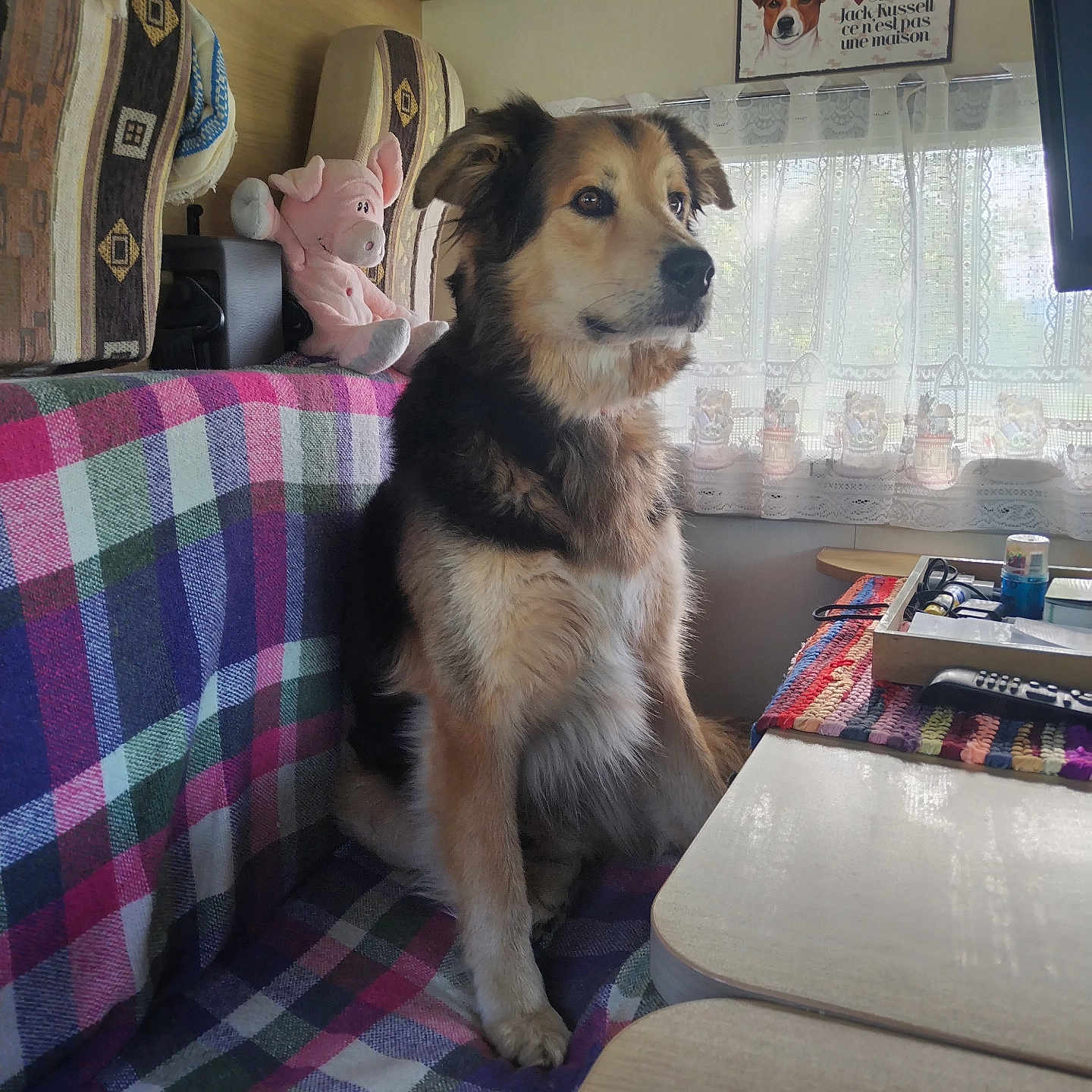 Marley