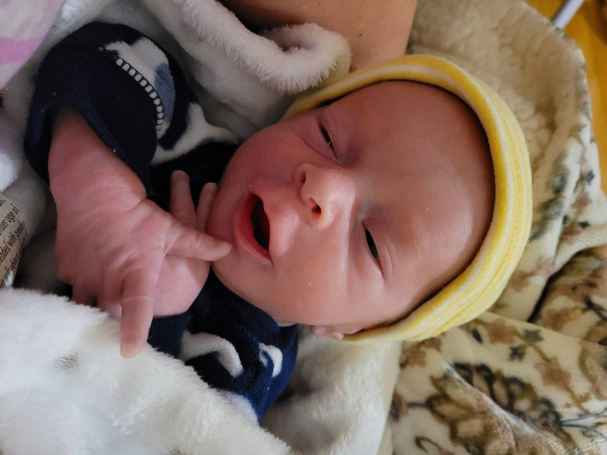 Adam joined the competition — help win amazing prizes! baby, baby_products, baby_sleeping, baby_toddler_clothing, bedtime, cheek, child, comfort, eyelash, facial_expression, fur, grass, happy, linens, mammal, nail, person, skin, thumb, toddler