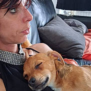 Choco participe au concours pour gagner de l'argent avec cette photo : black_clothing, black_leather, brown_dog, casual, closeup, comfort, couch, dog, furniture, indoor, jewelry, nap, pet, pillow, portrait, relaxation, resting, short_hair, sleeping_dog, woman