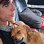 black_clothing, black_leather, brown_dog, casual, closeup, comfort, couch, dog, furniture, indoor, jewelry, nap, pet, pillow, portrait, relaxation, resting, short_hair, sleeping_dog, woman
